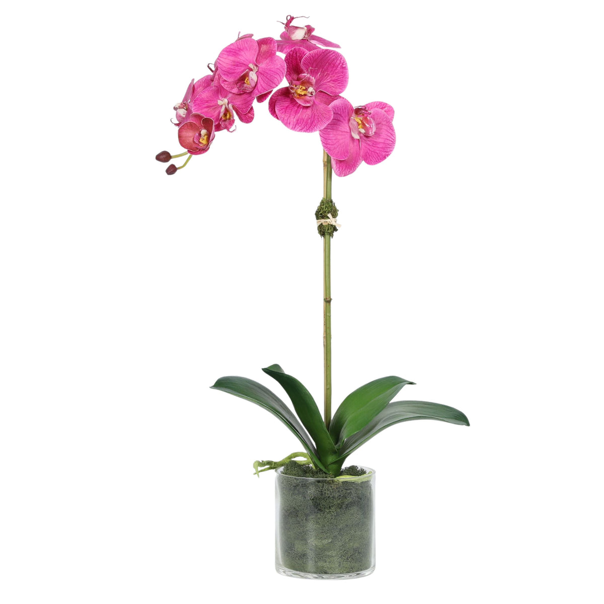 Planta de orquídea artificial en florero - 20"