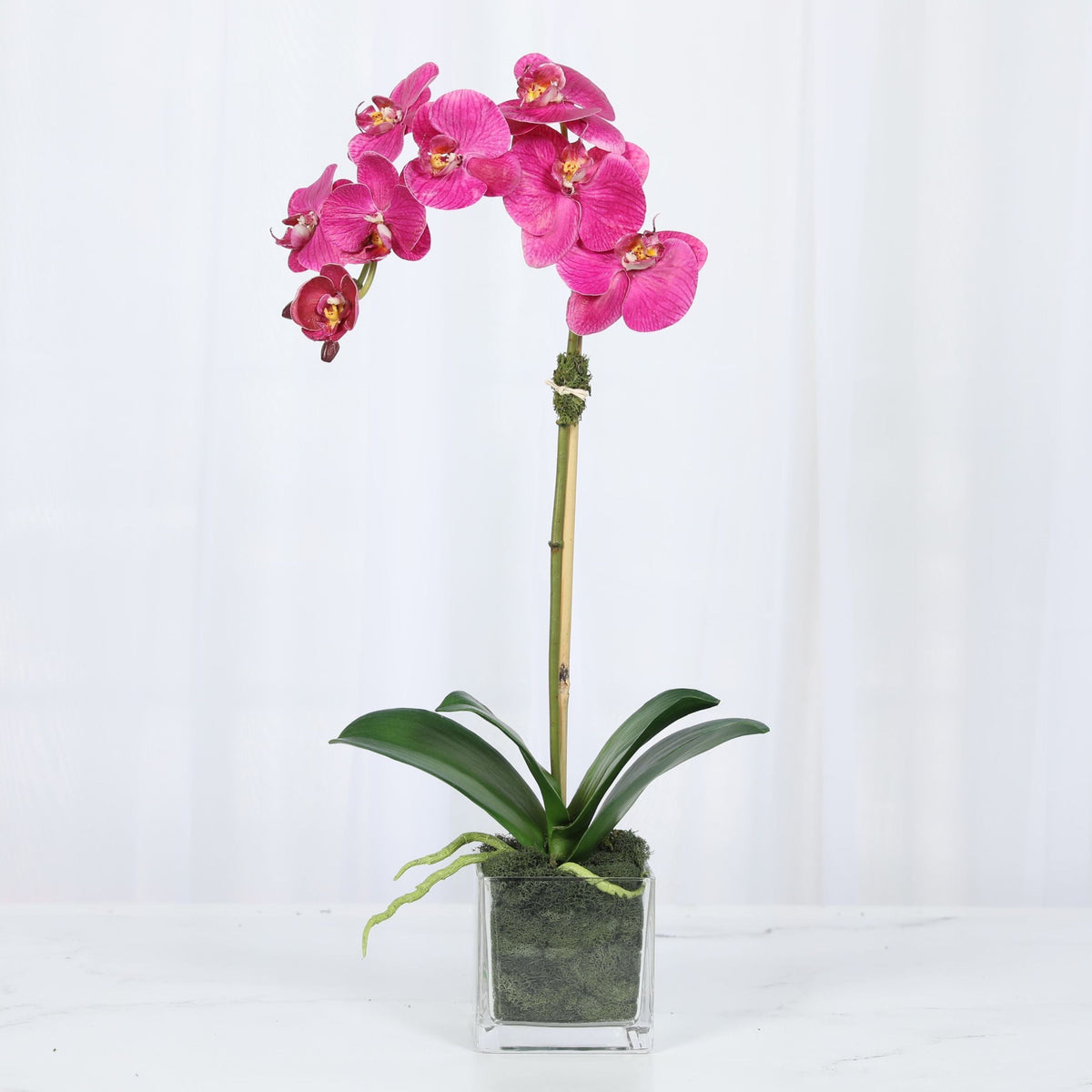 Faux Orchid Plant in Square Vase - 20"