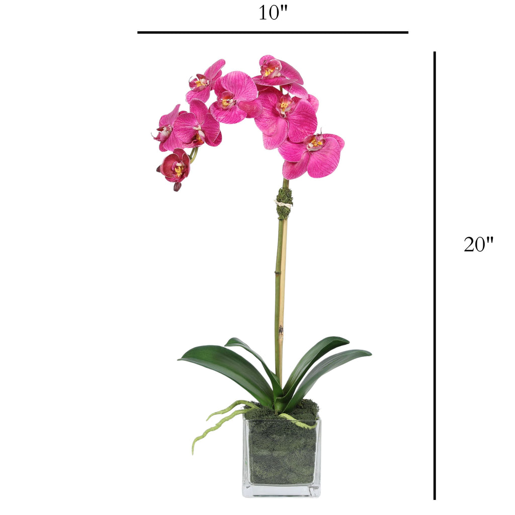 Faux Orchid Plant in Square Vase - 20"
