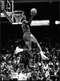 Michael Jordan Black and White Basketball Canvas Wall Art