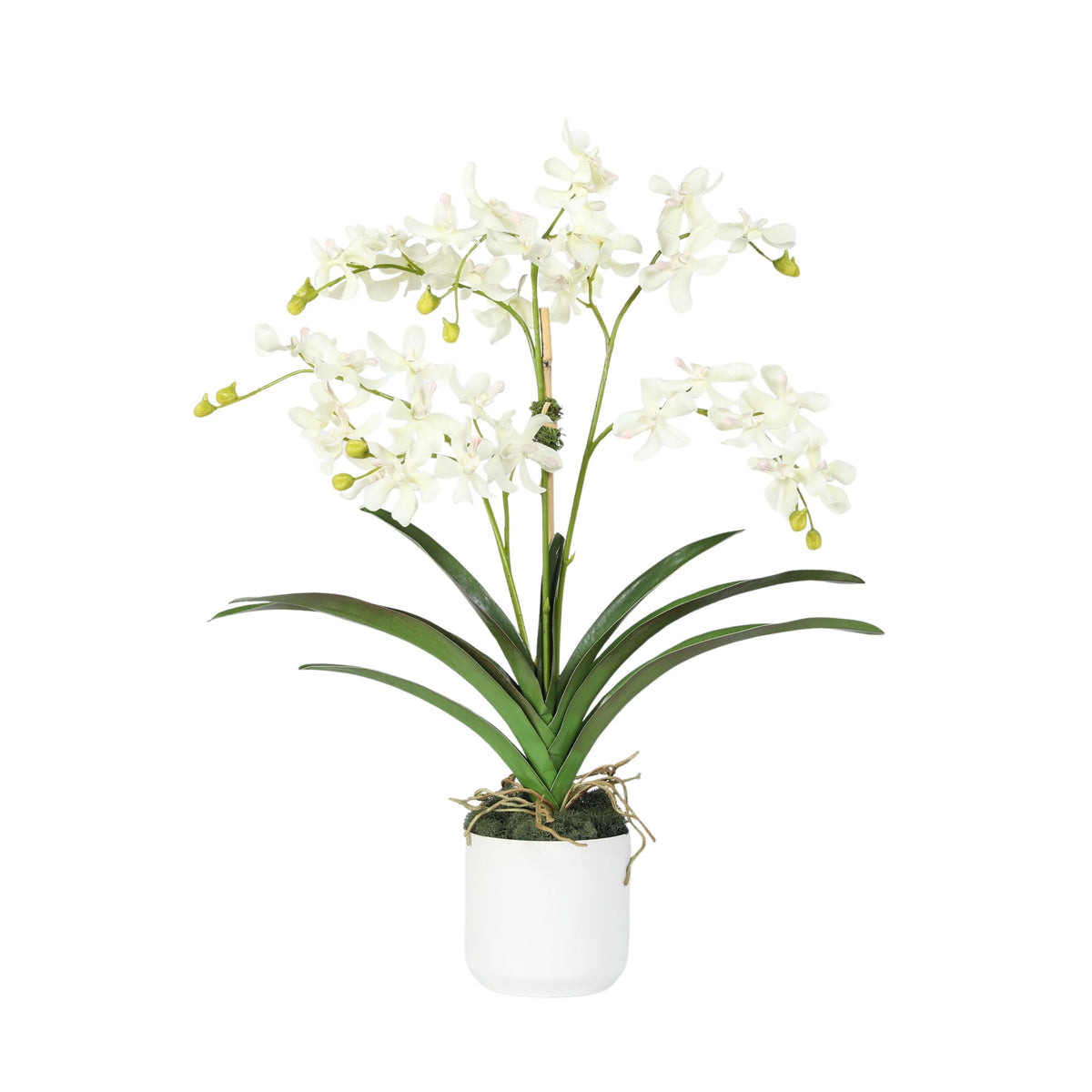 Kompozycja z orchidei w wazonie – 61 cm