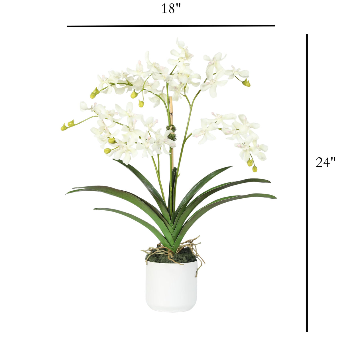 Kompozycja z orchidei w wazonie – 61 cm