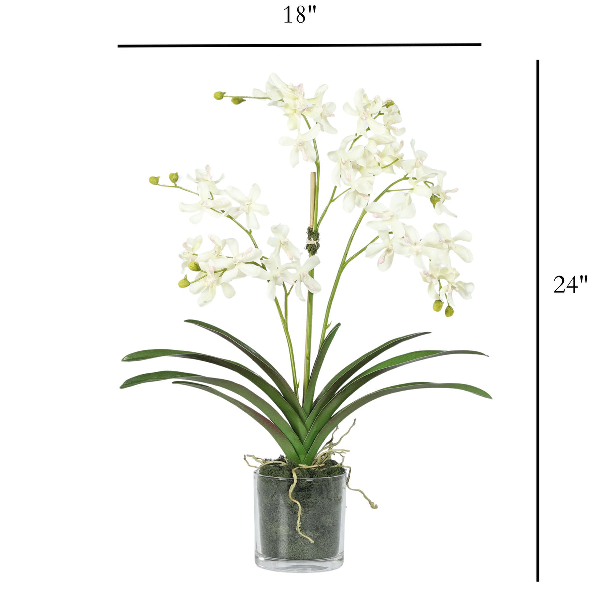 Kompozycja z orchidei w wazonie – 61 cm