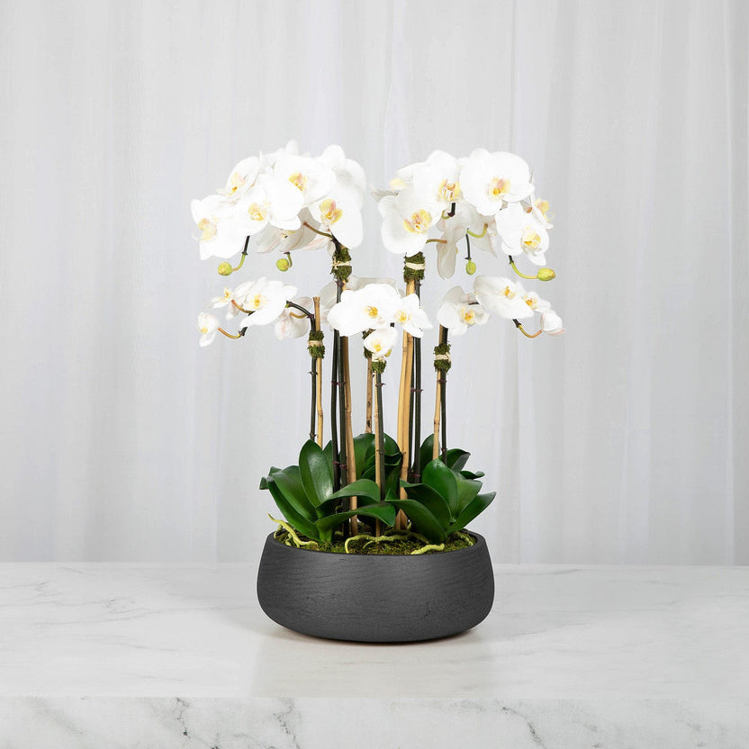 Faux White Orchid Arrangement in Matte Black Planter