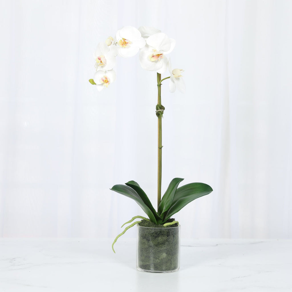 Artificial Orchid Plant in Vase - 20"