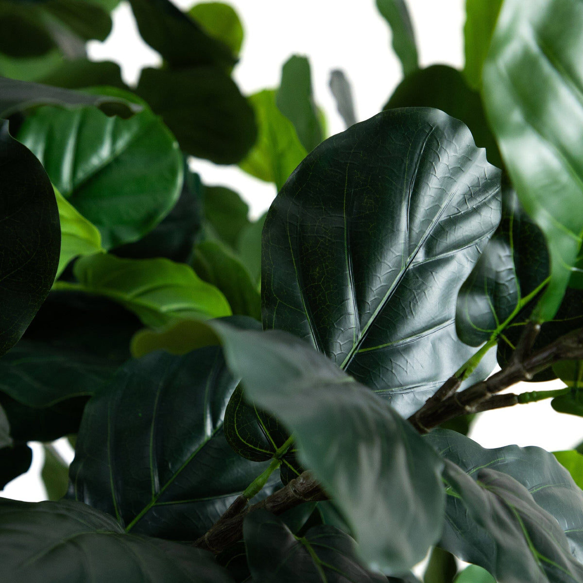 Tall Artificial Fiddle Leaf Fig Tree, 13'