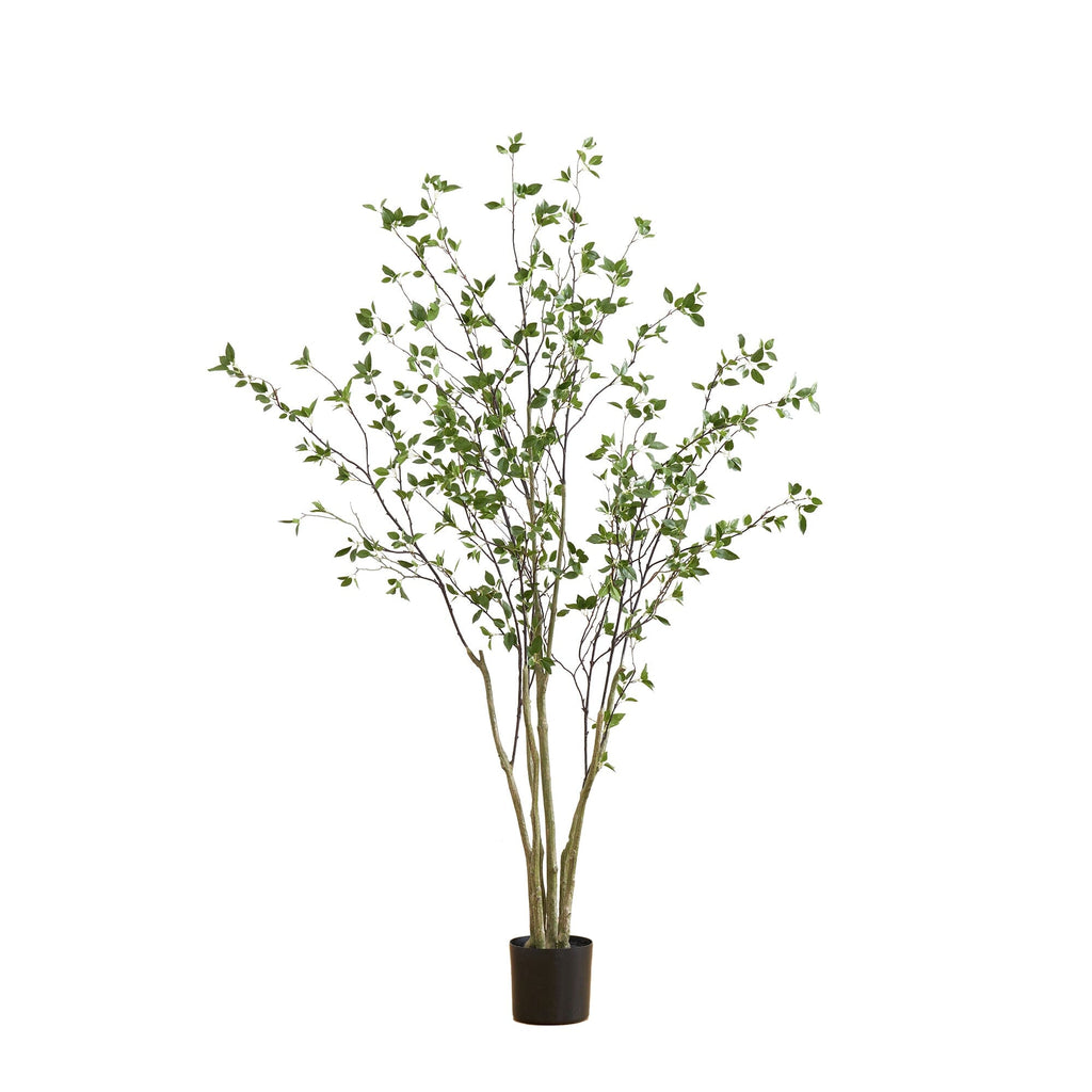 Minimalist Artificial Citrus Tree - 7'