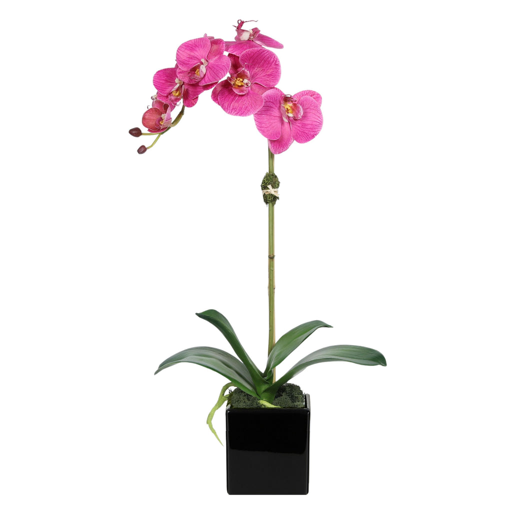 Faux Orchid Plant in Square Vase - 20"