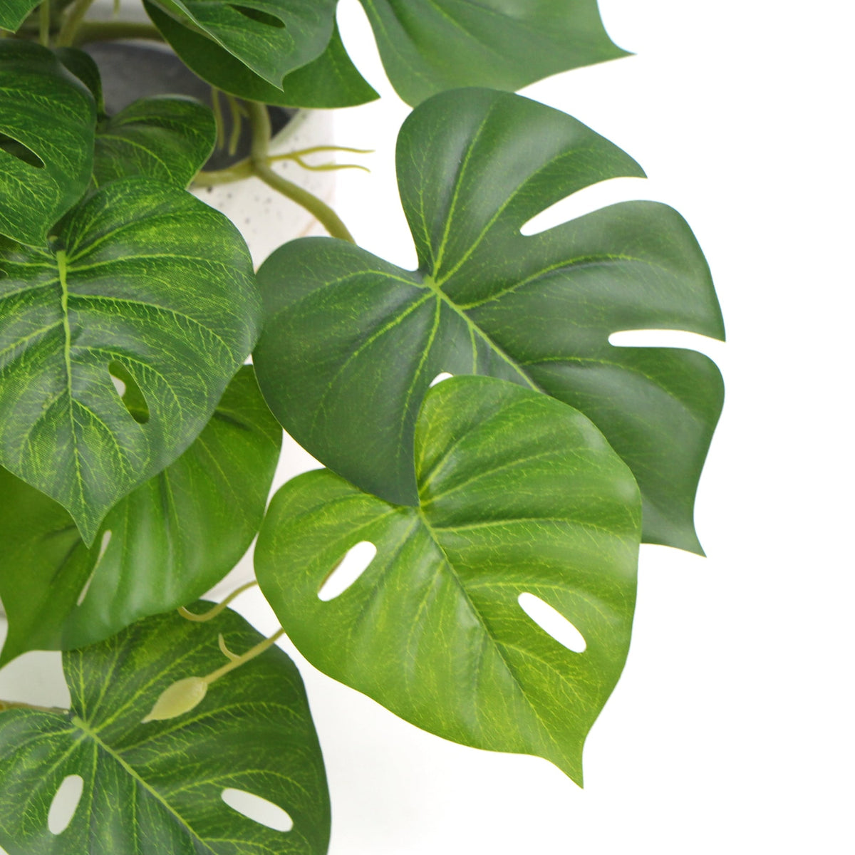 Decorative Ceramic Bowl Potted Artificial Monstera Plant 30cm