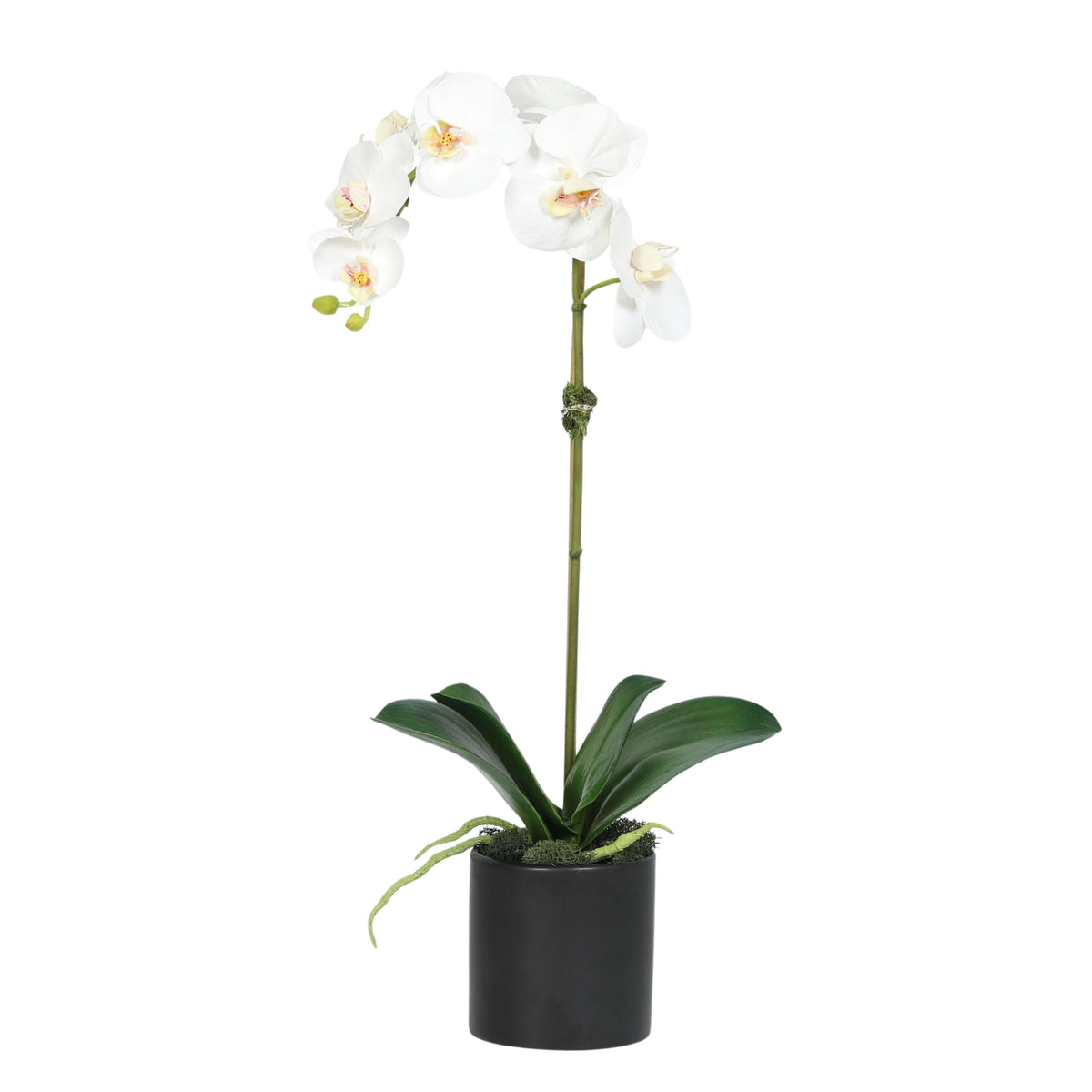 Planta de orquídea artificial en florero - 20"