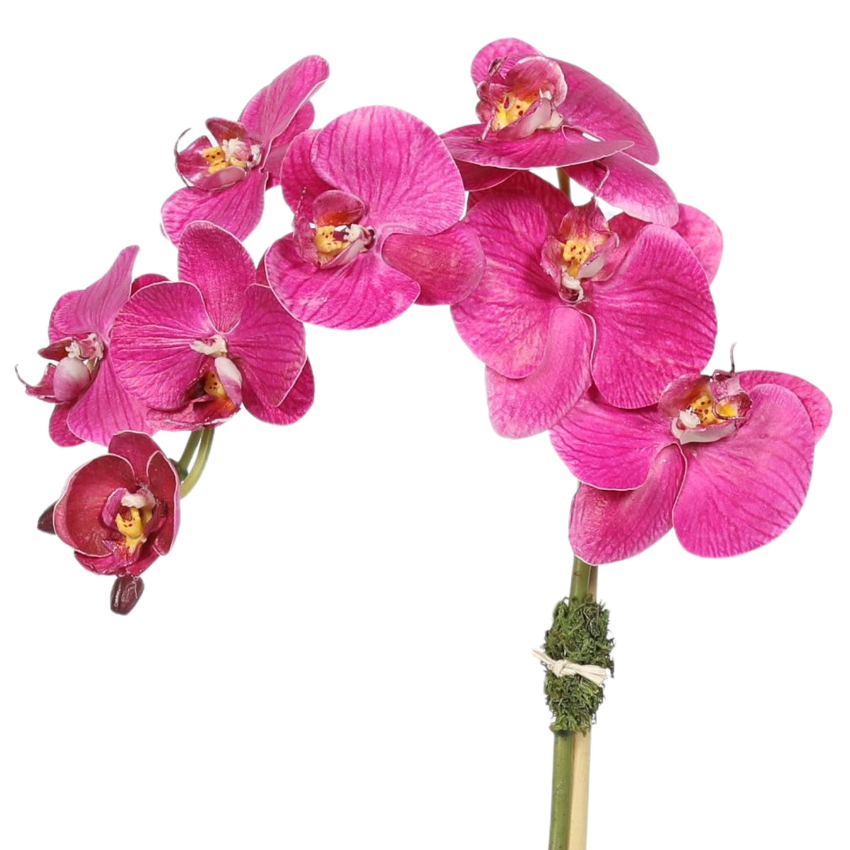 Faux Orchid Plant in Square Vase - 20"