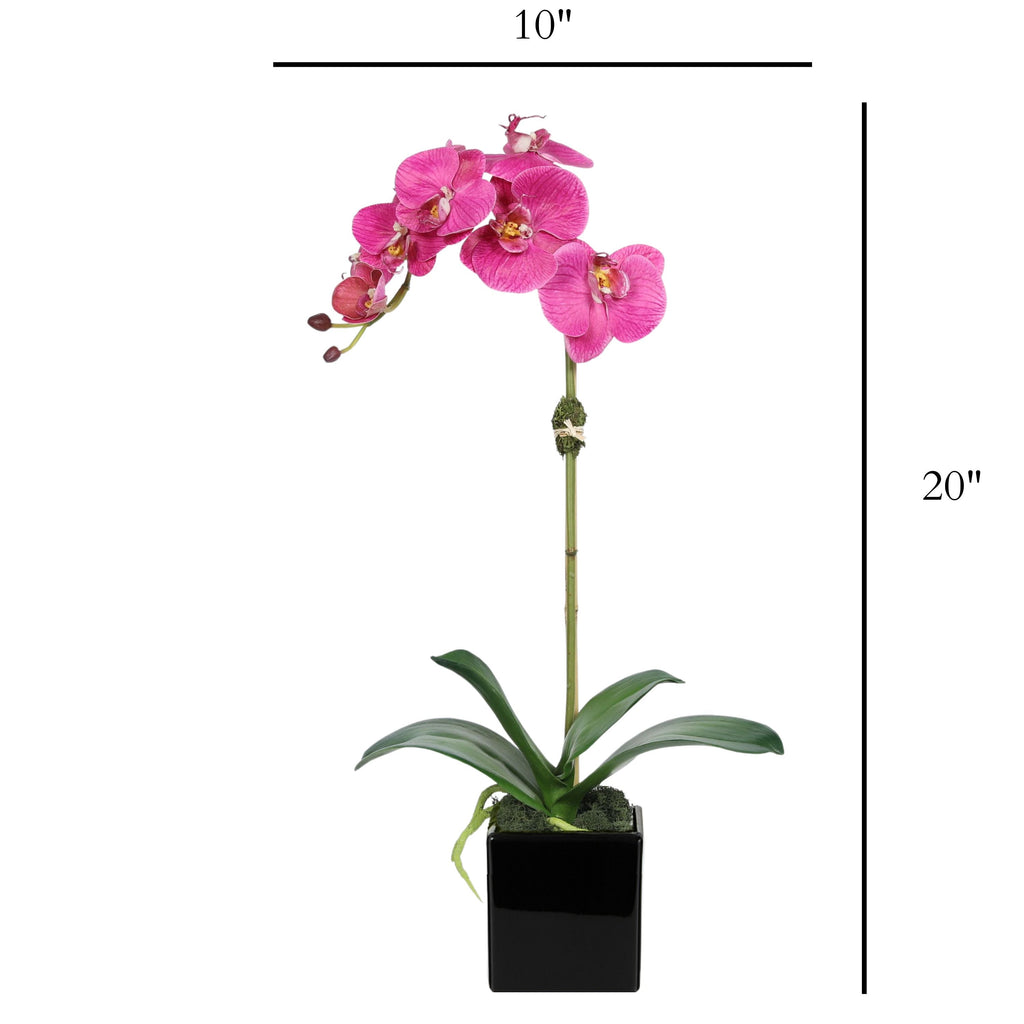 Faux Orchid Plant in Square Vase - 20"