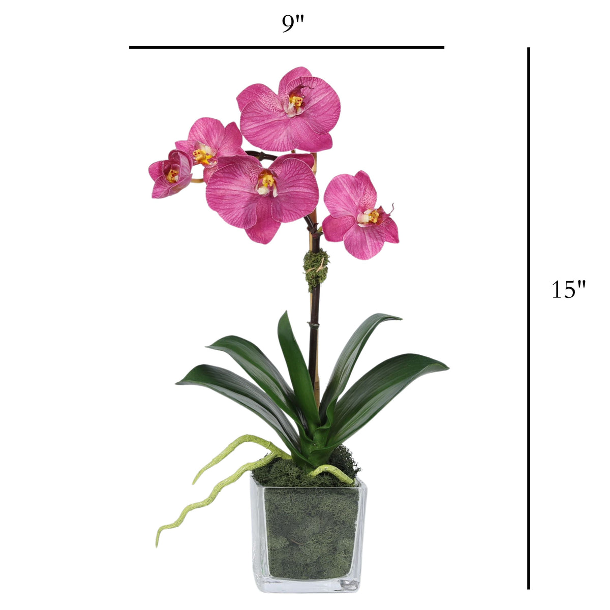 Arreglo de mini orquídeas en florero de vidrio cuadrado