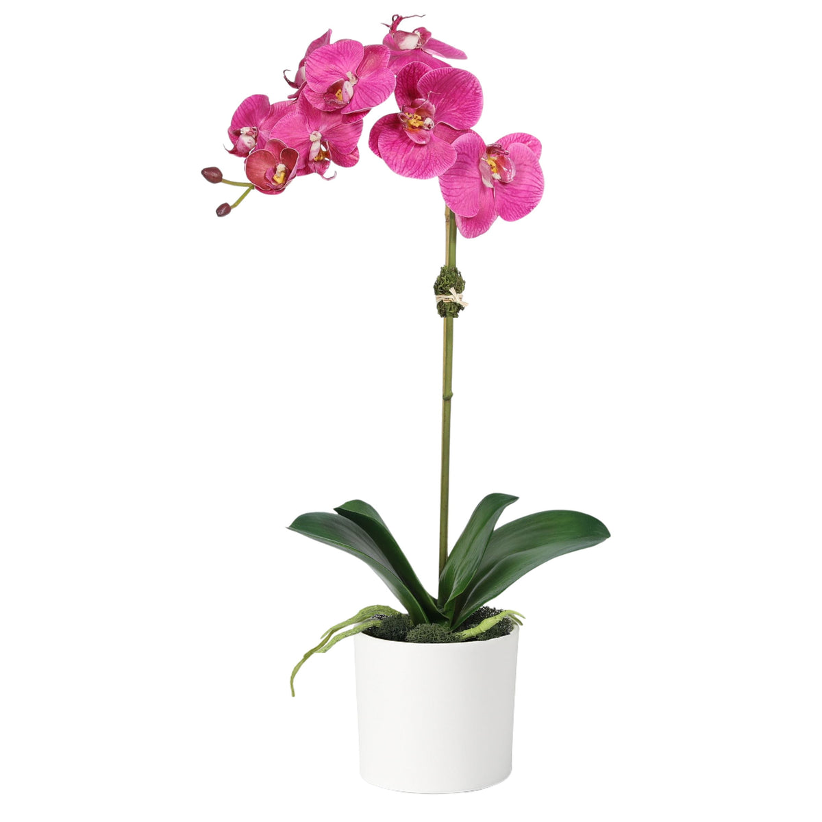 Planta de orquídea artificial en florero - 20"