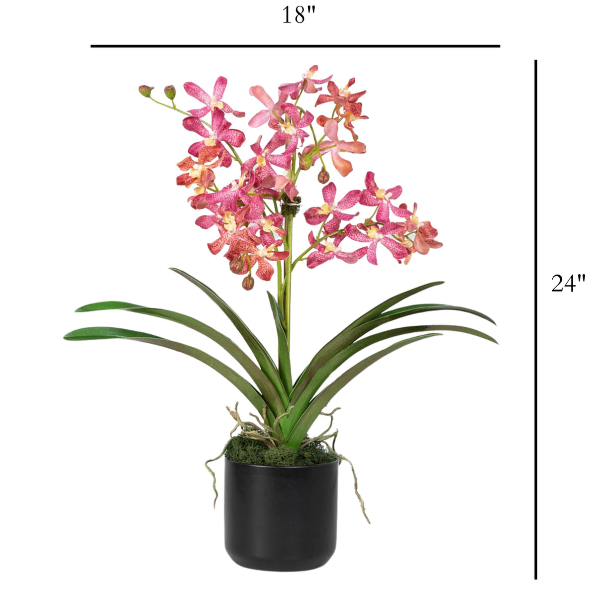 Pink Vanda Orchid Arrangement in Vase - 24"