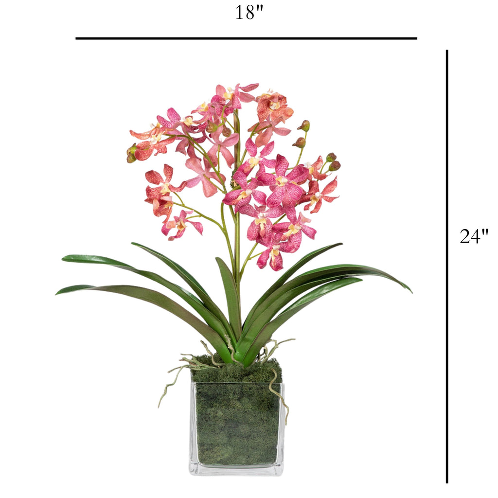 Pink Vanda Orchid Arrangement in Vase - 24"