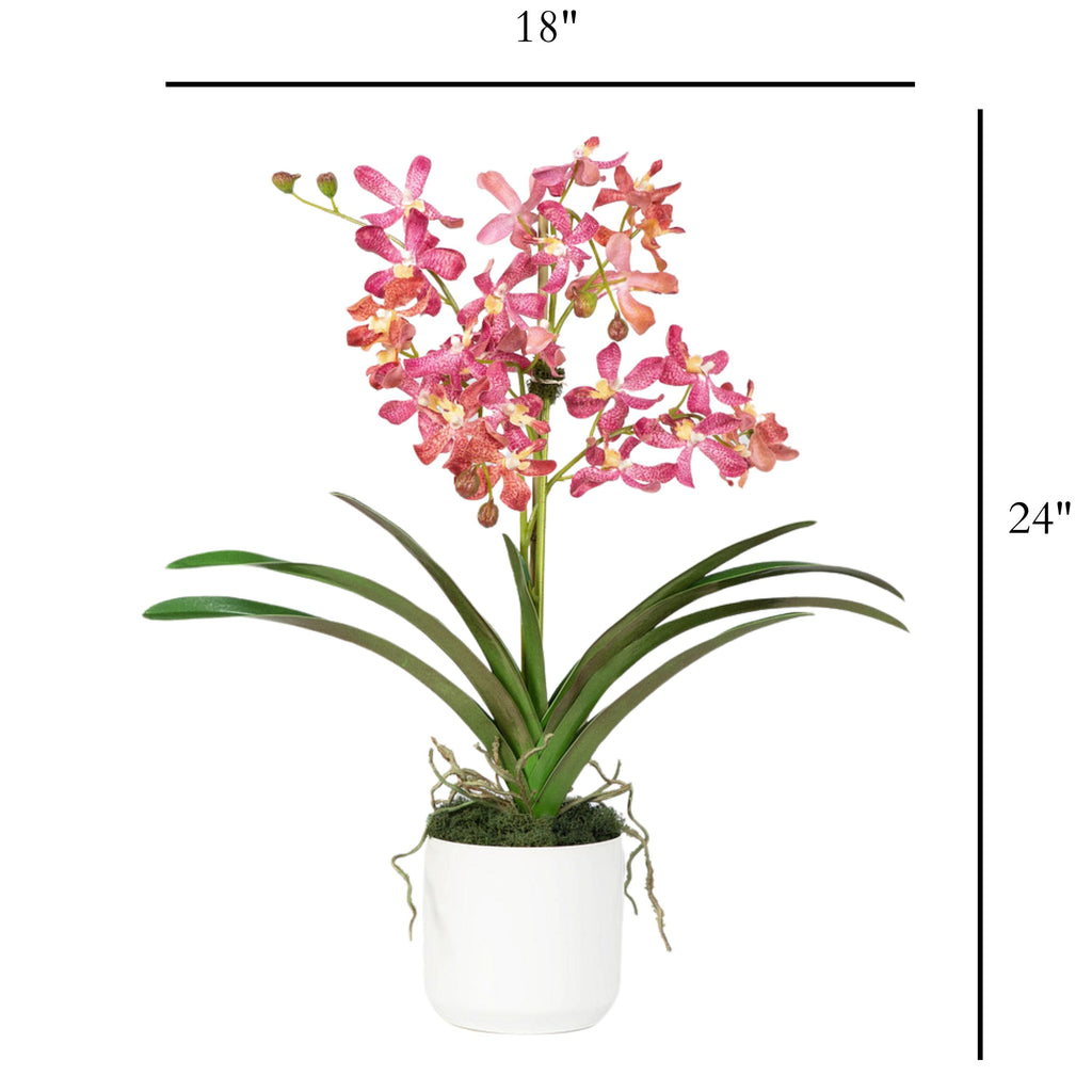 Pink Vanda Orchid Arrangement in Vase - 24"