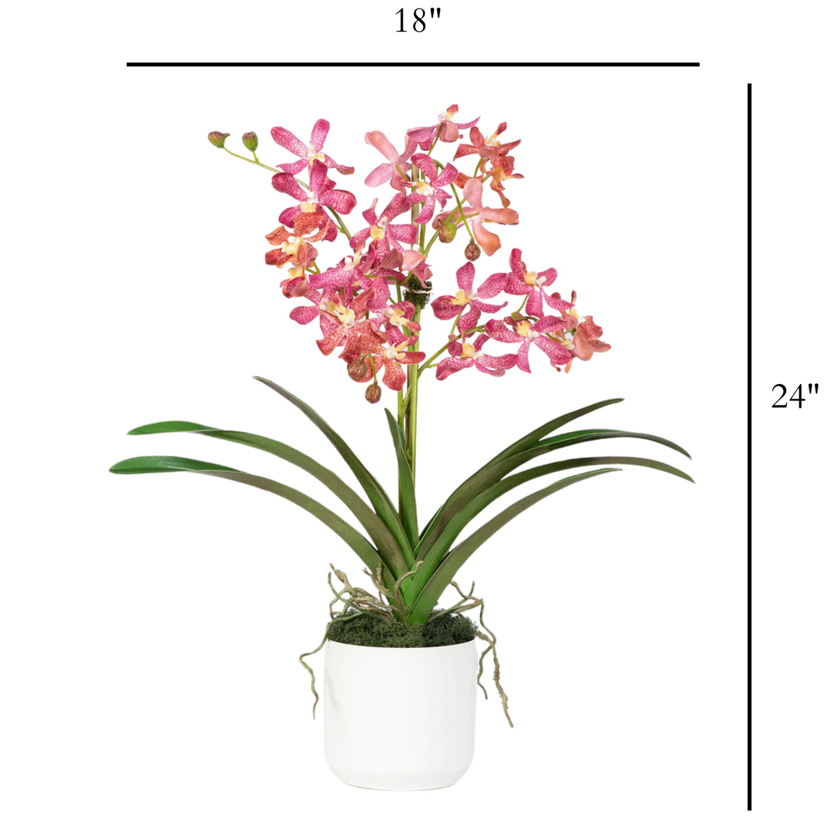Pink Vanda Orchid Arrangement in Vase - 24"