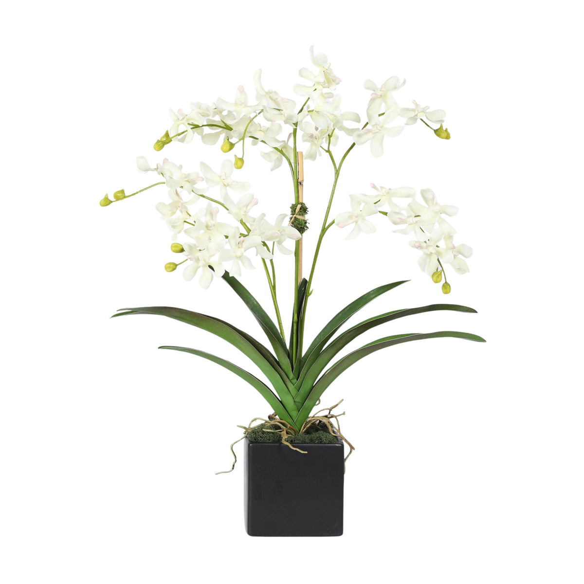 Kompozycja z orchidei w wazonie – 61 cm