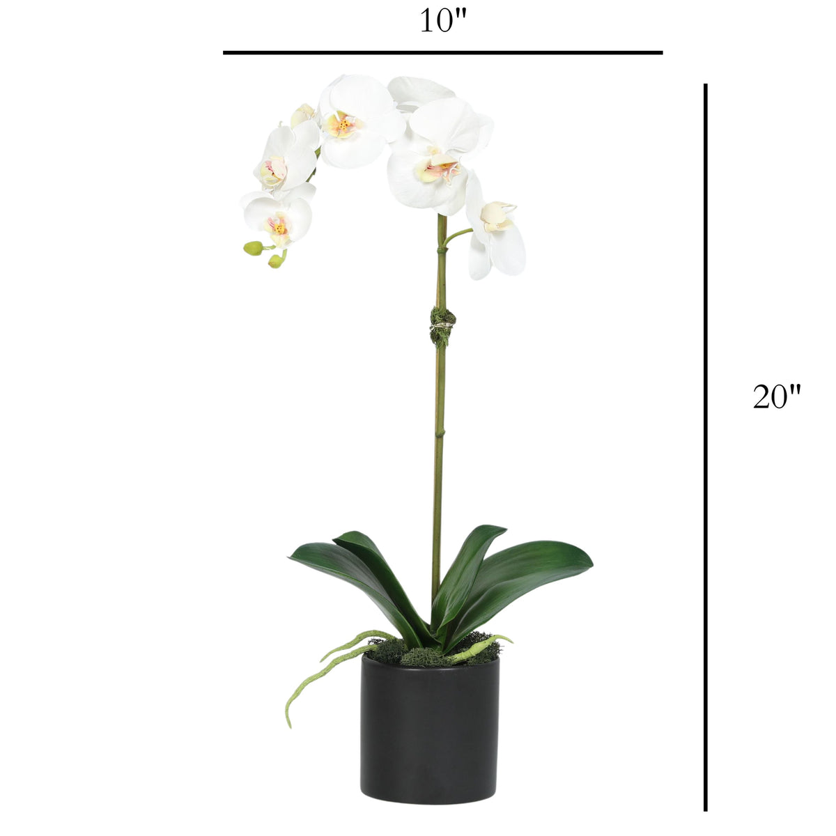 Artificial Orchid Plant in Vase - 20"