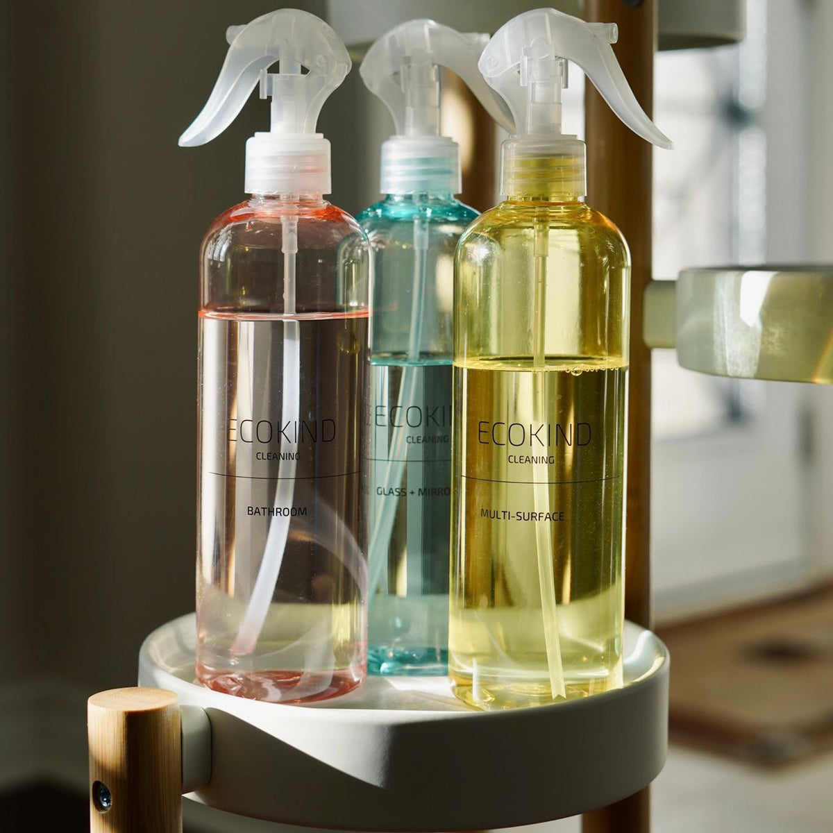 Kit de productos de limpieza básicos