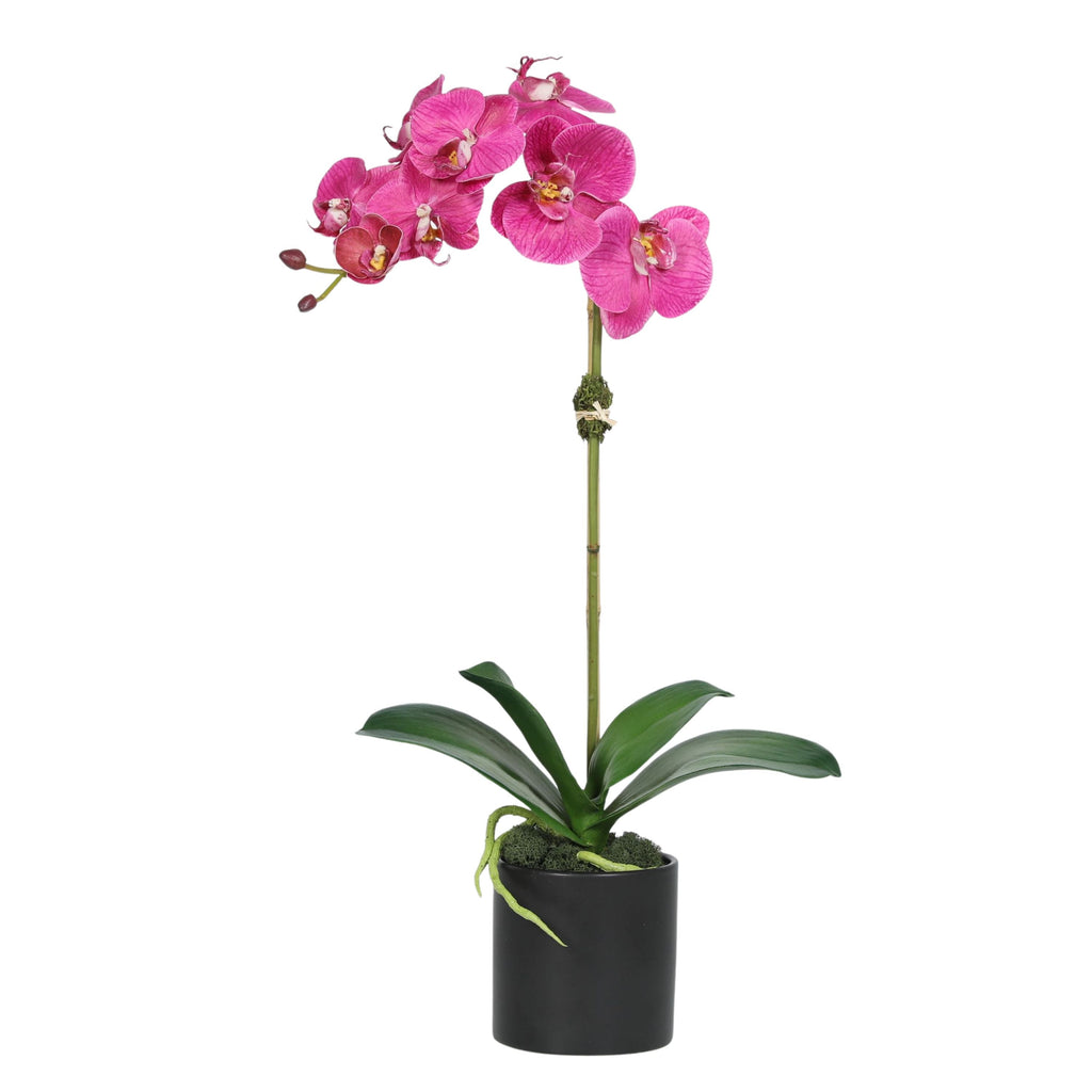 Artificial Orchid Plant in Vase - 20"