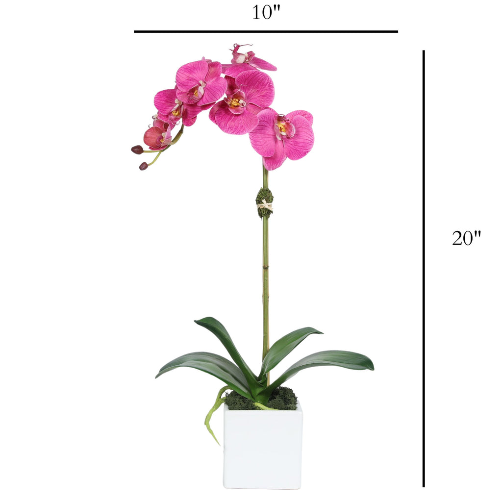 Faux Orchid Plant in Square Vase - 20"