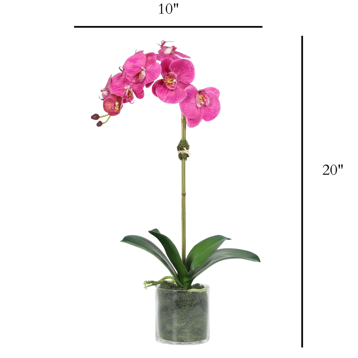 Artificial Orchid Plant in Vase - 20"