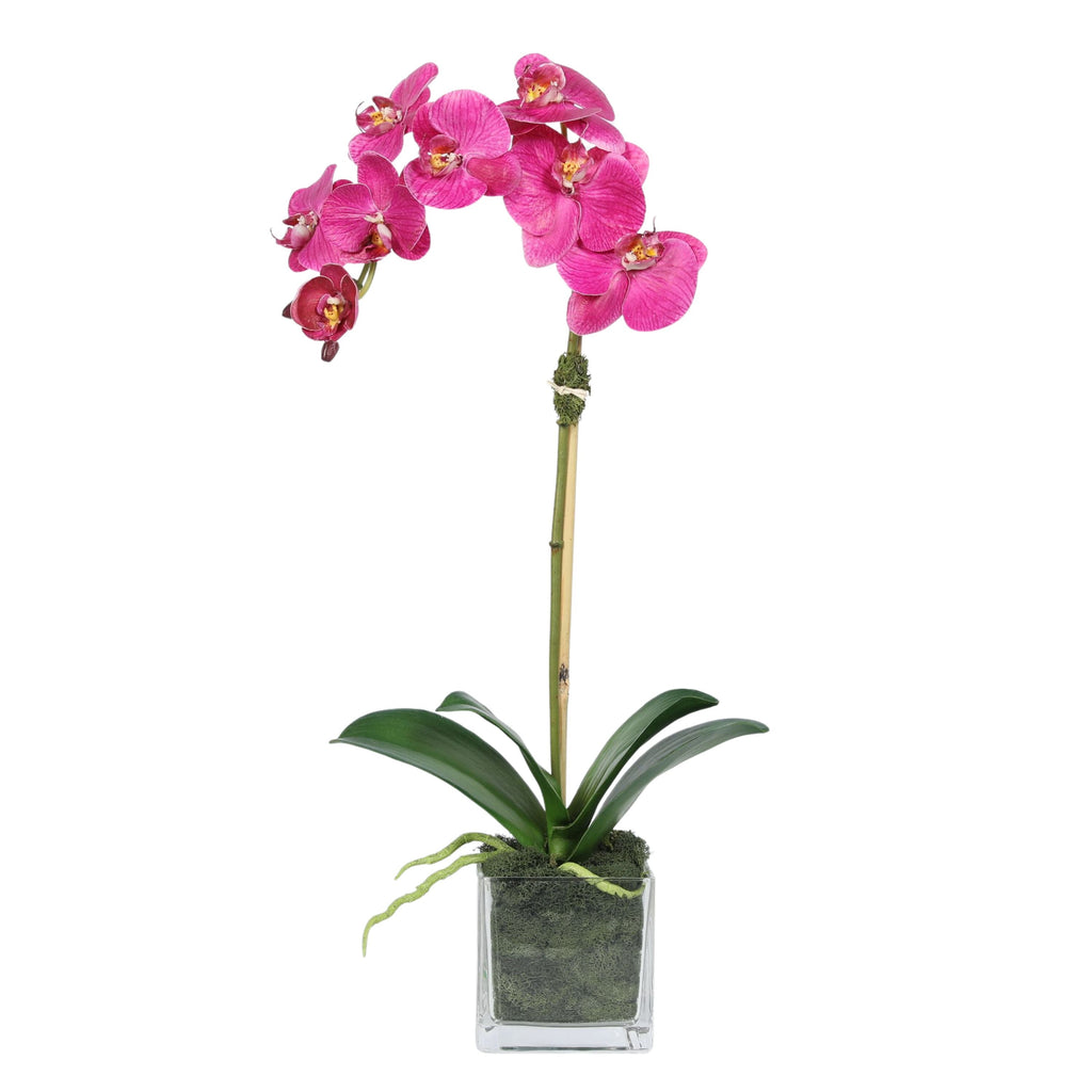 Faux Orchid Plant in Square Vase - 20"