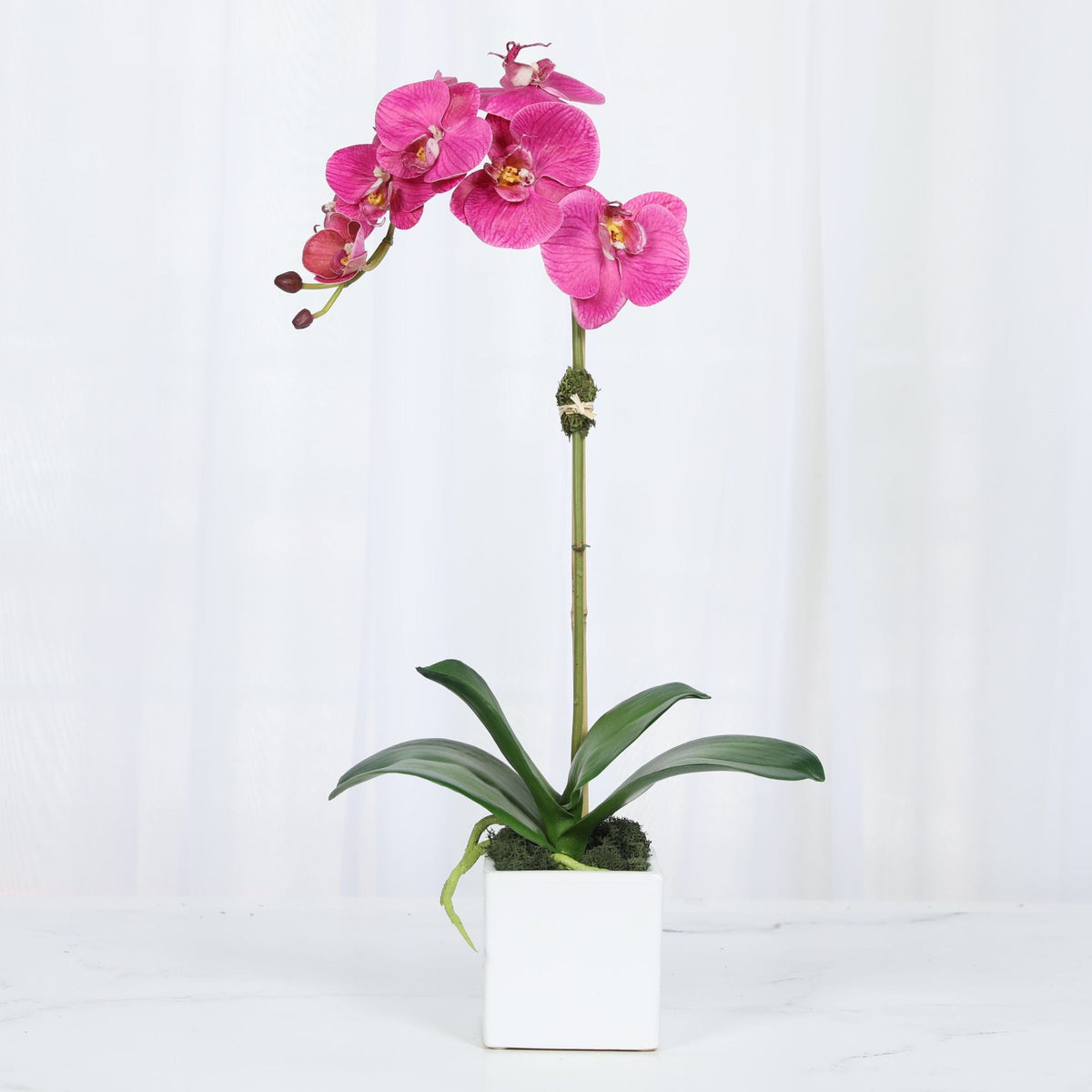 Faux Orchid Plant in Square Vase - 20"