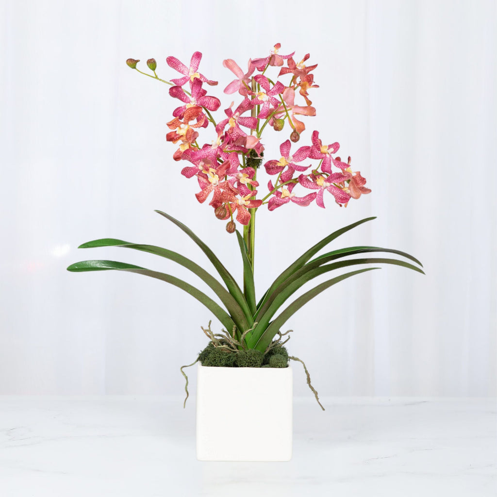 Pink Vanda Orchid Arrangement in Vase - 24"