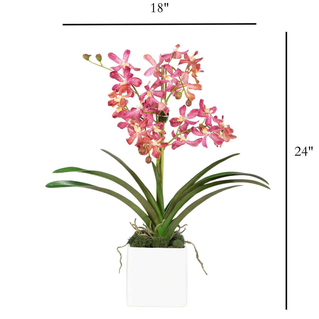 Pink Vanda Orchid Arrangement in Vase - 24"
