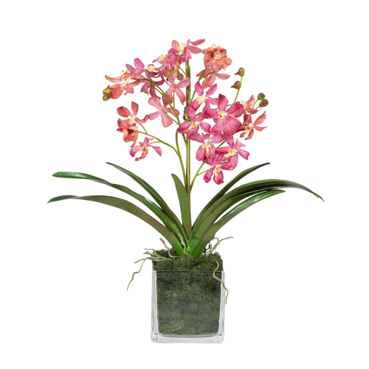 Pink Vanda Orchid Arrangement in Vase - 24"