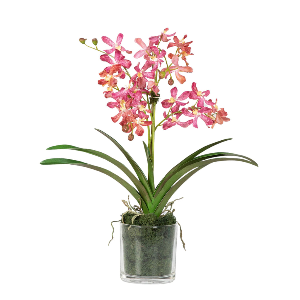 Pink Vanda Orchid Arrangement in Vase - 24"