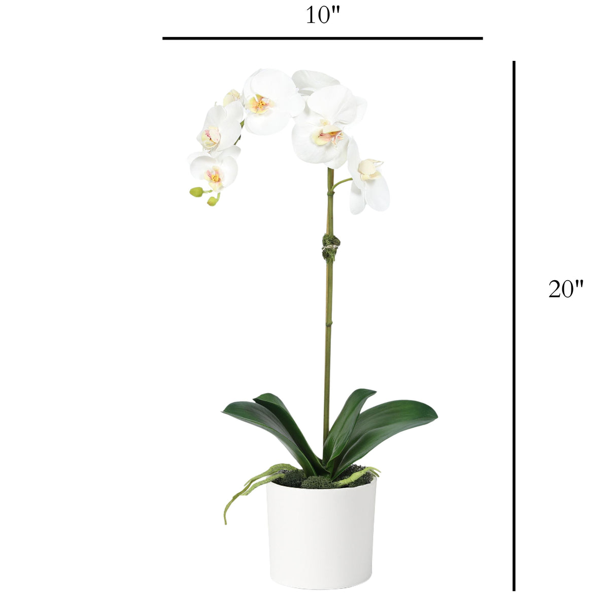 Planta de orquídea artificial en florero - 20"