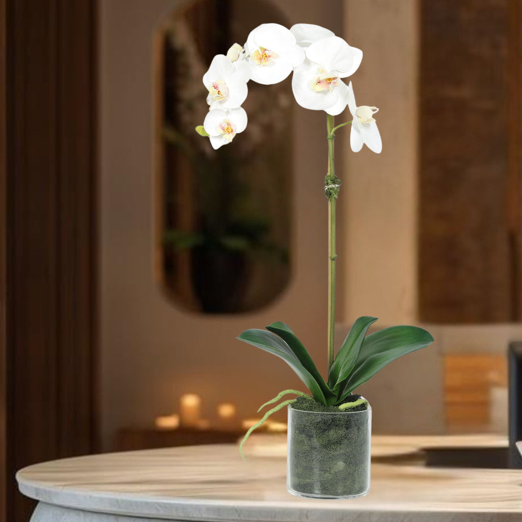 Artificial Orchid Plant in Vase - 20"