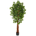 Artificial Ficus Tree 6.5’