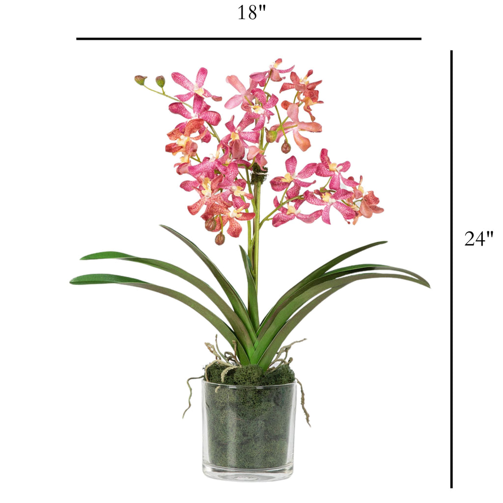 Pink Vanda Orchid Arrangement in Vase - 24"