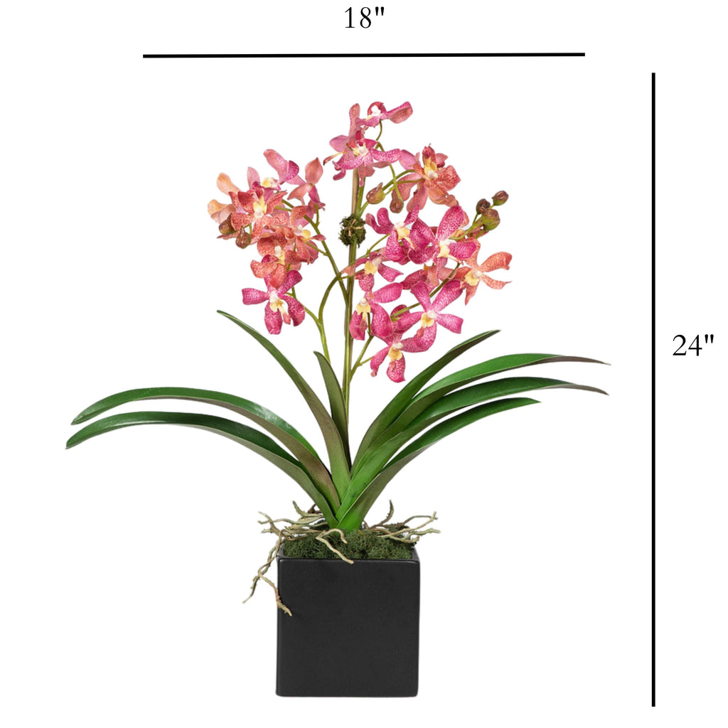 Pink Vanda Orchid Arrangement in Vase - 24"