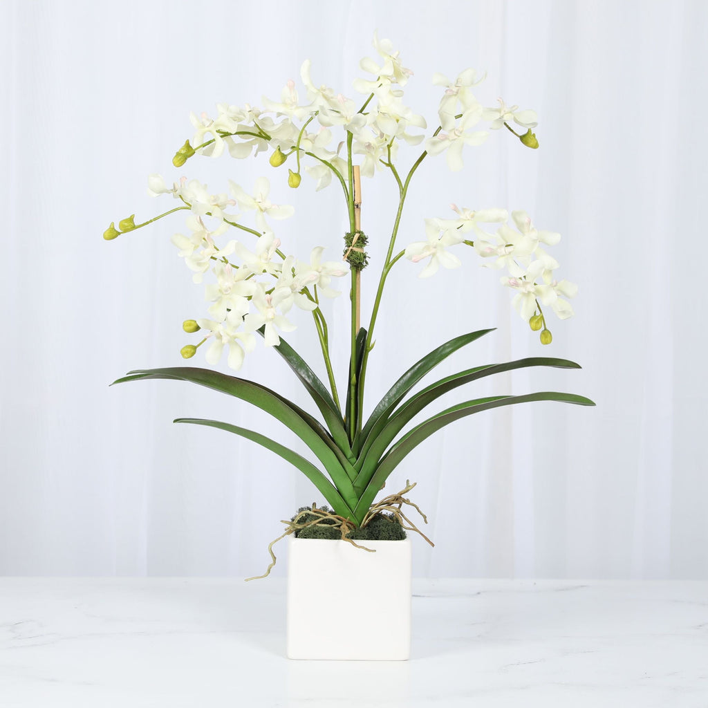 Orchid Arrangement in Vase - 24"