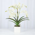 Orchid Arrangement in Vase - 24"