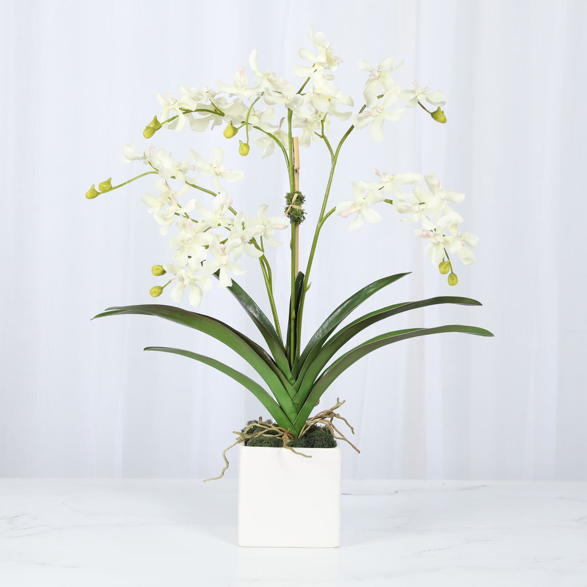 Orchid Arrangement in Vase - 24"