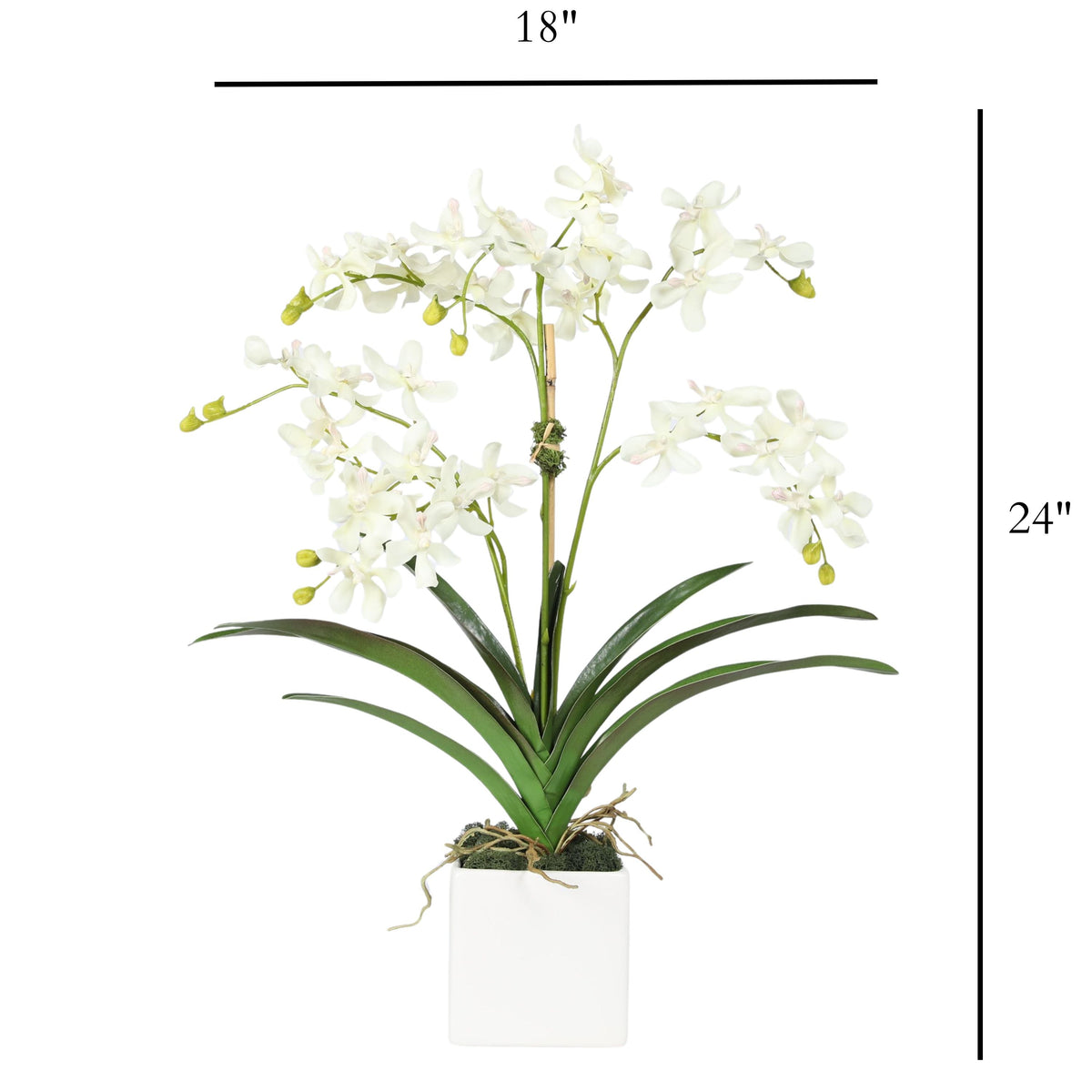 Kompozycja z orchidei w wazonie – 61 cm