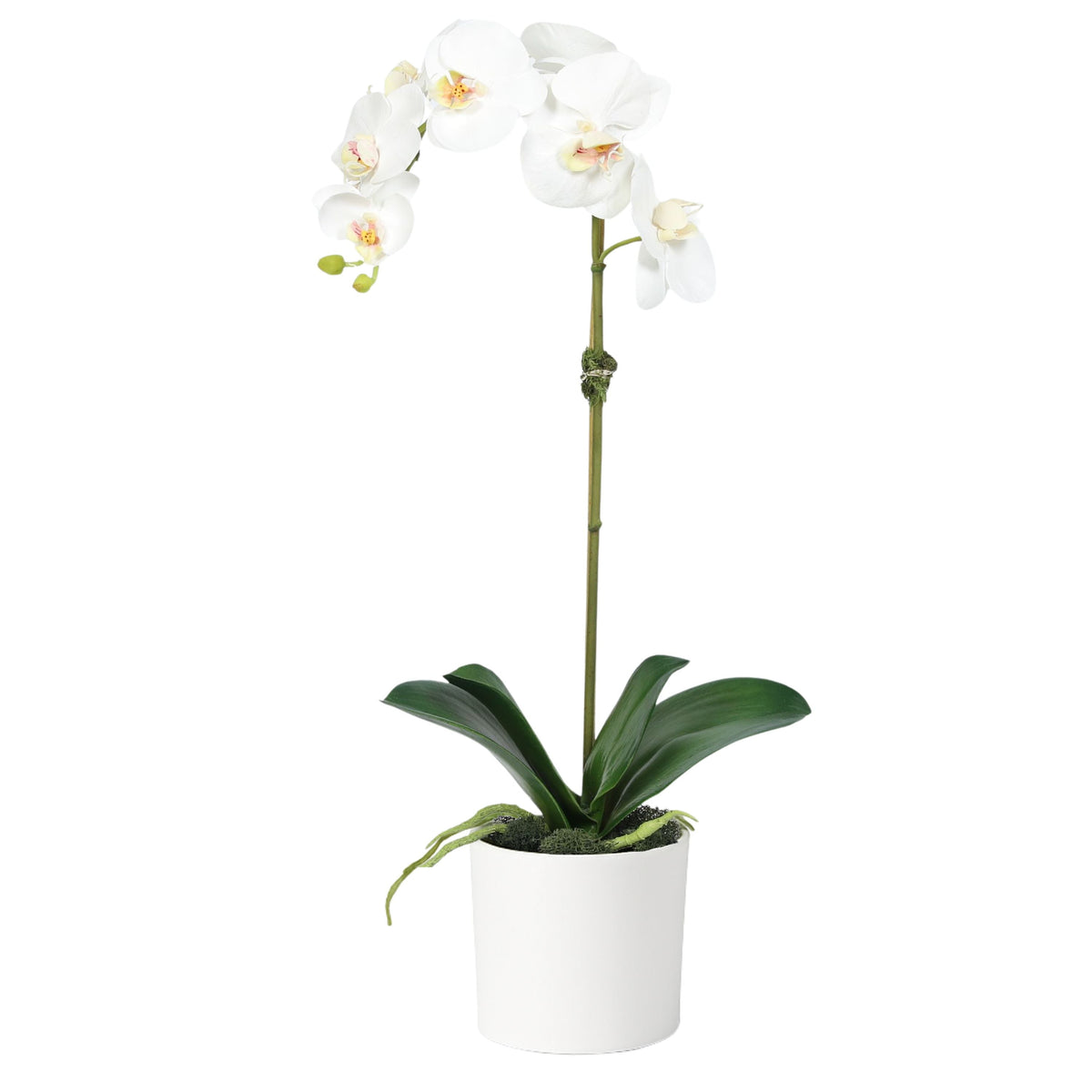 Planta de orquídea artificial en florero - 20"