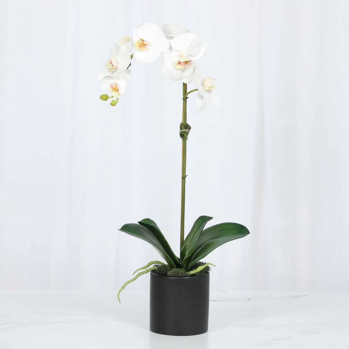 Planta de orquídea artificial en florero - 20"