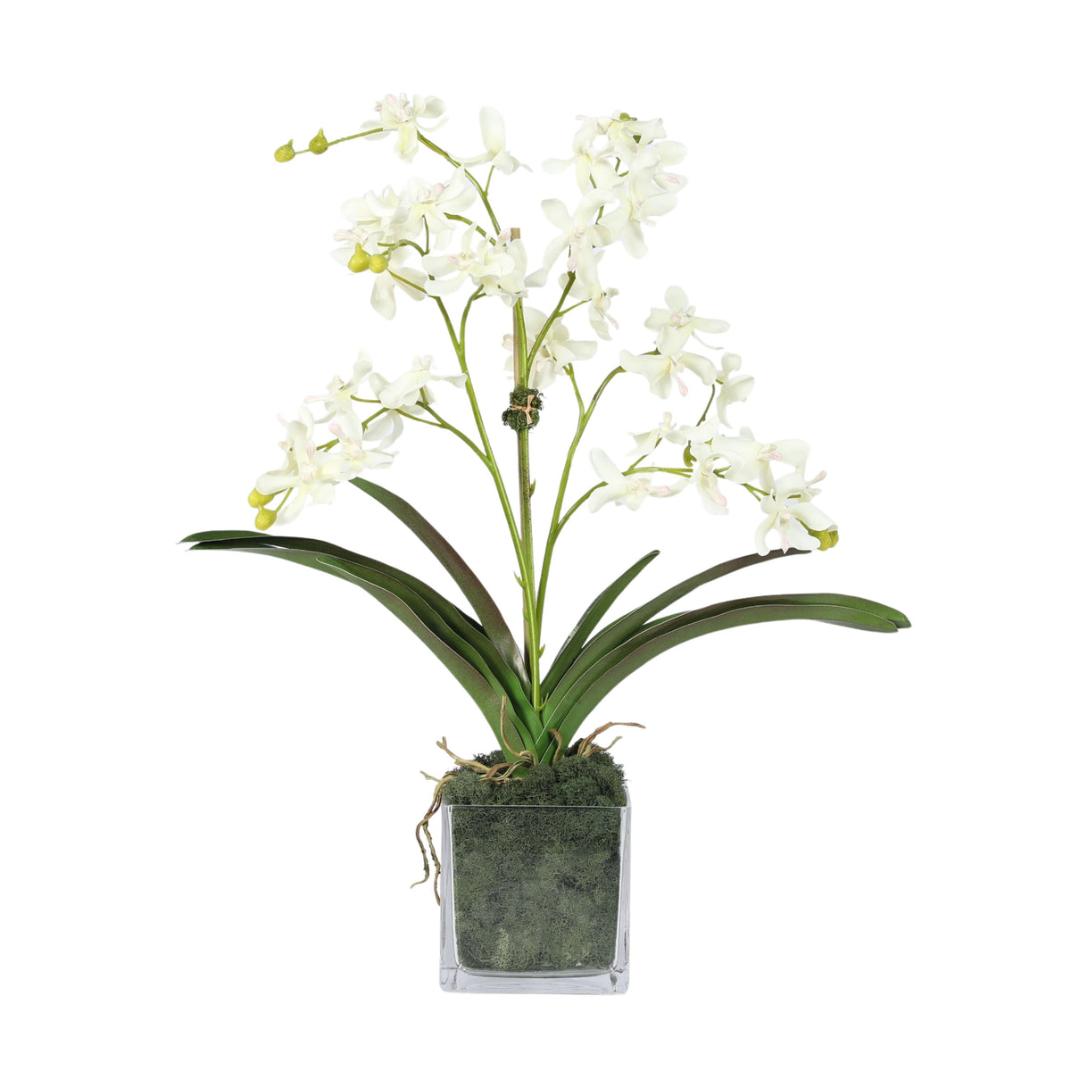 Kompozycja z orchidei w wazonie – 61 cm