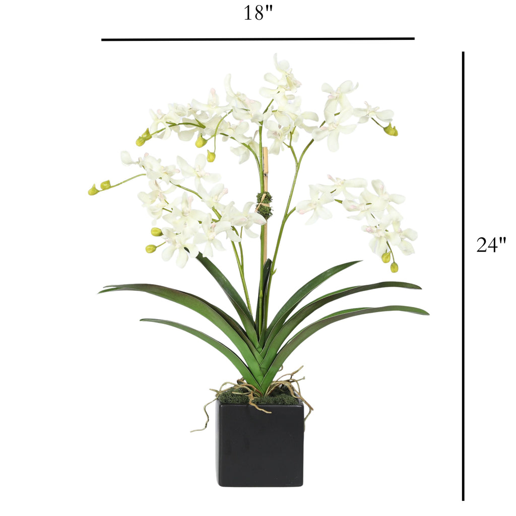 Orchid Arrangement in Vase - 24"