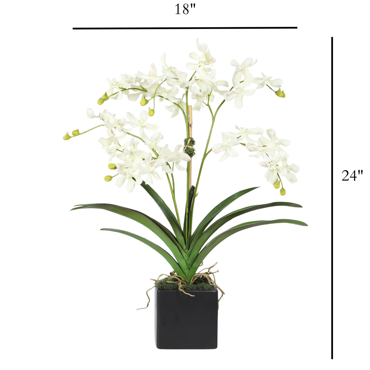 Orchid Arrangement in Vase - 24"