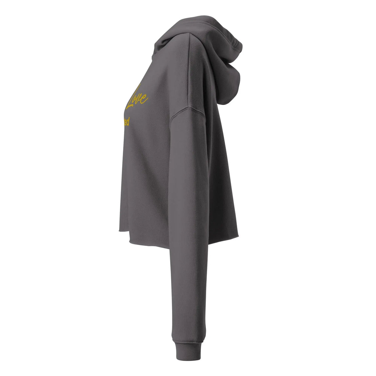Sudadera corta - Self Love Addicted CON BORDADO
